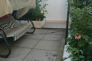 деревенский в лесу