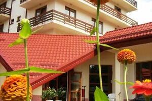 "Вертикаль"