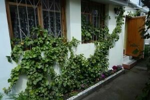 «Домик с двориком в Алуште»