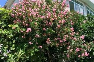 «Аквамарин»