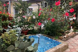 Гостевой дом "Камелия"