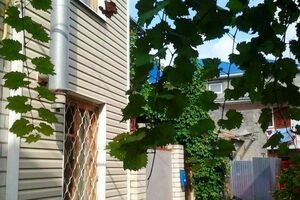 Крепостная 77/9