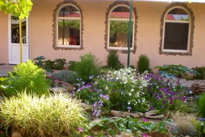 «Тихий берег»