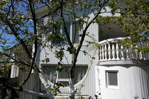 «Сосновая роща»