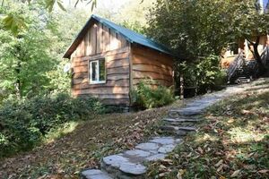 «Каштановый двор»