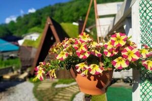 «Купольный дом»