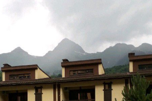 «Берёзовая»