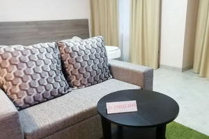 «Студия, Берёзовая, 24»