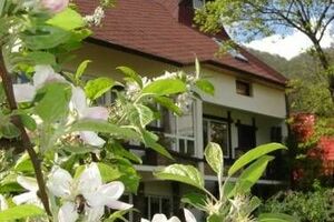 «дом на Черепановых»