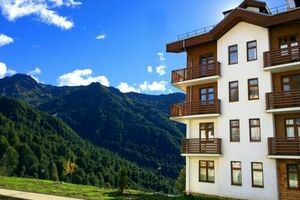 «Приют Панды»