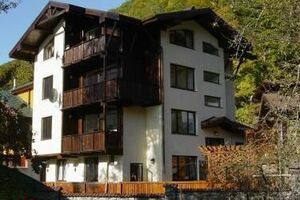 «Шалле Березовая»