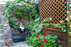 «У Александра»