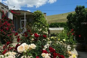 «Жемчужина»