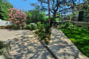 «Маргарита»