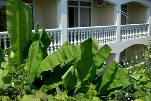 «Тенистый дворик»