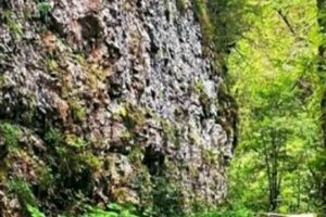 «Гуамское ущелье из Каменомосткого»