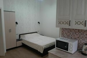 Квартира посуточно — студия на мансарде