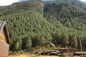 в 5 минутах от подъемника на Уллу тау