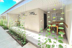 «Южный Берег»