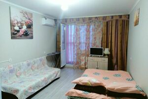 Студия на Пустошкина