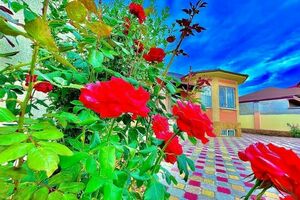 Огромный дом для большой семьи