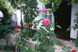 Квартира у Нарзана Ессентуки на 2 гостя