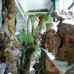 Музей «Причуды леса» в Джубге