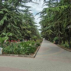 Приморский парк в Алуште