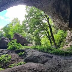 Музыкальный грот