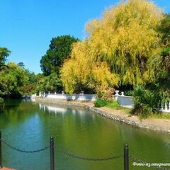 Парк «Южные культуры» Адлер